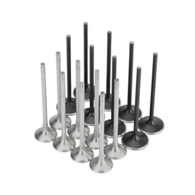 Skunk2 310-05-2000 - Honda K20C1 Alpha Series Intake & Exhaust Valve Set (Standard Compression)
