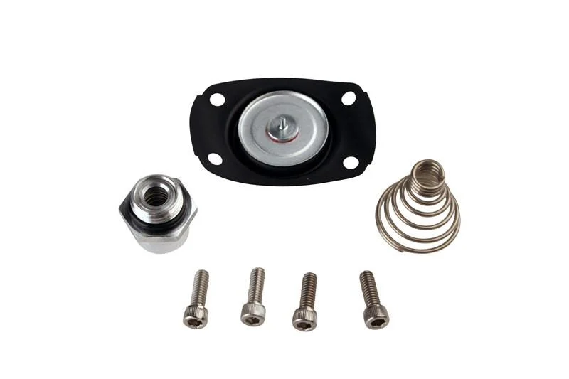 Aeromotive 13005 - Carb Regulator Repair Kit (for 13201/13205/13211/13215/13217/13251/13255)