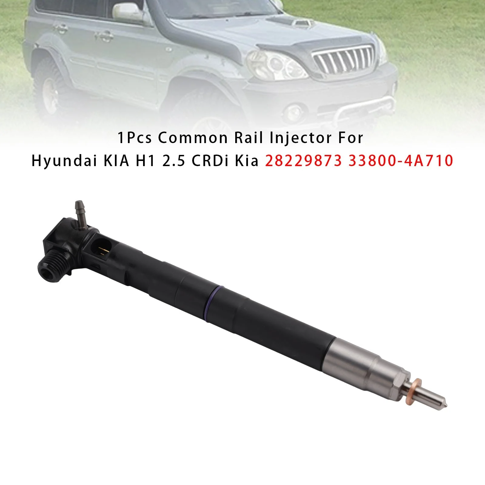 1Pcs Common Rail Injector For Hyundai KIA H1 2.5 CRDi Kia 28229873 33800-4A710