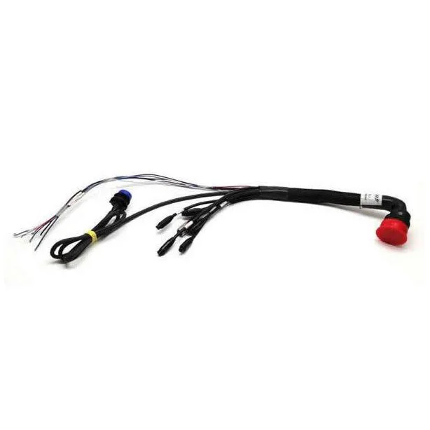 AiM 37 Pin Primary Harness for MXM, MXS, MXG, MXL2 Dashes