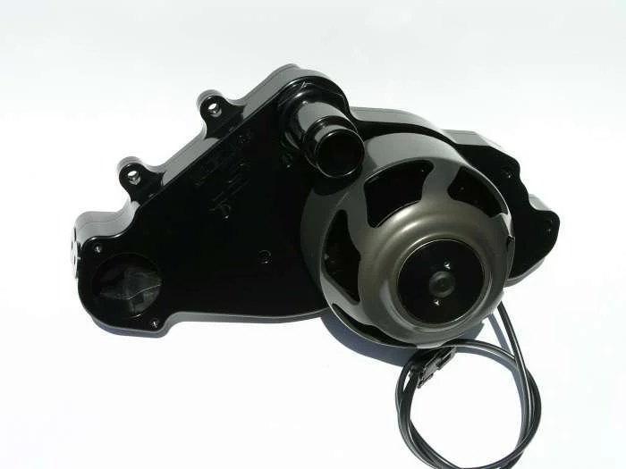 Meziere 300 Series Electric Water Pumps WP319S BLACK