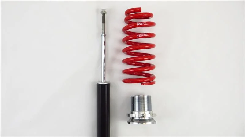 RS-R 2014-2020 Lexus IS250/350 AWD (GSE36) Sports-i Coilovers