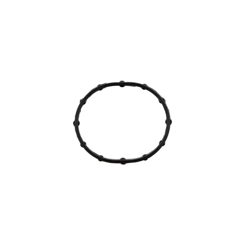Fel-Pro Chevrolet Spark 36114 Engine Water Pump Gasket