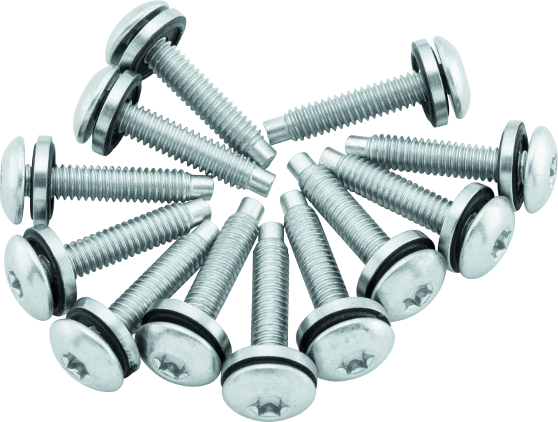 Twin Power 04-17 Dyna Models Fuel Pump Plate Screw Kit Replaces H-D 1331